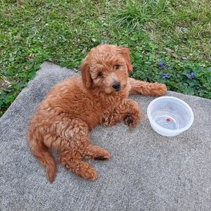 Meet your Posher, Joanna